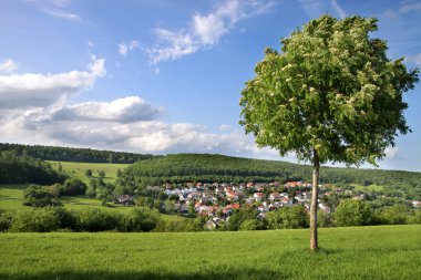 Landscape in the Taunus mountains clipart