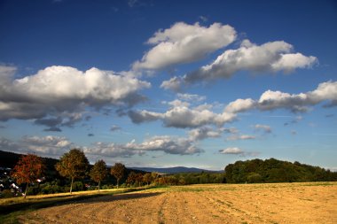 Empty field with evening sky clipart