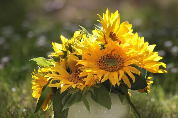 Buket bunga matahari — Stok Foto