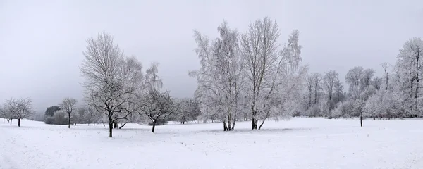 冬季全景 — 图库照片