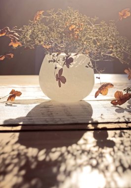 Autumn Decoration clipart