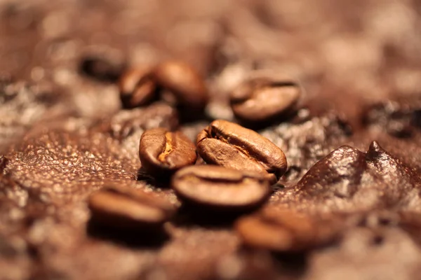 stock image Coffee beans