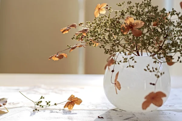 stock image Autumn Decoration