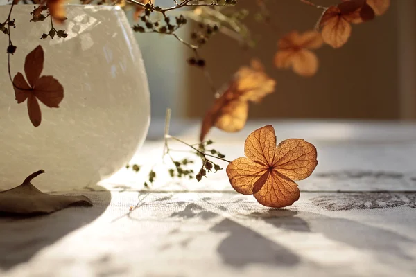 Herfst decoratie — Stockfoto