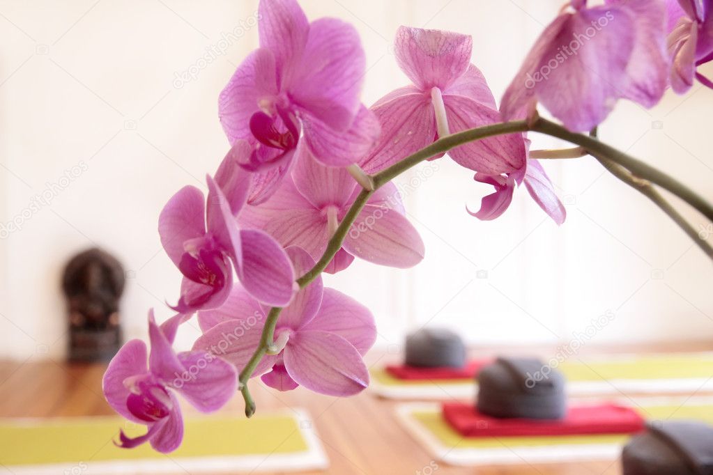 Pink Orchid and Yoga Cushion