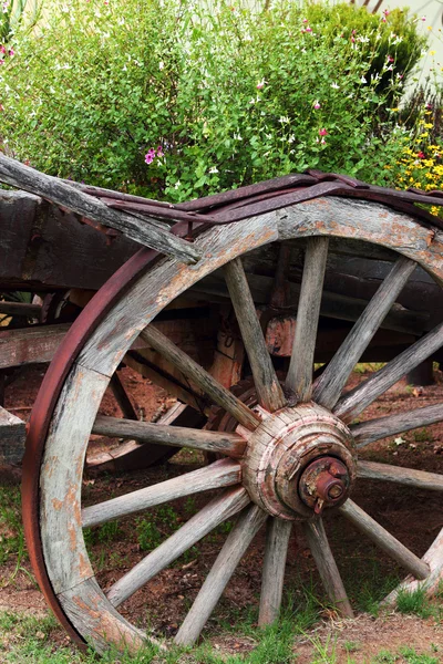 Oude wagen-wiel met bloemen op de achtergrond — Stockfoto