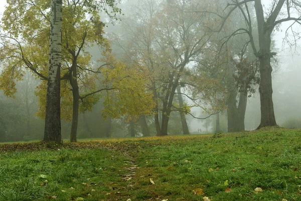 stock image Autumn landscape