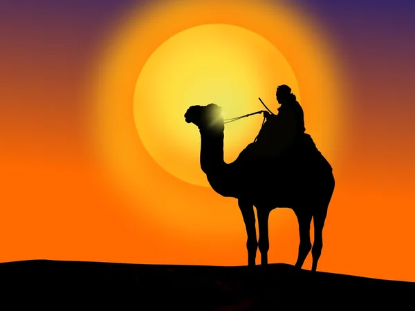 Man with camel in the desert — Stock Photo, Image