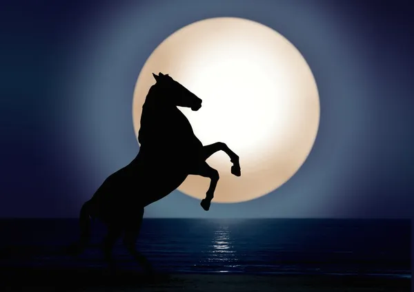 马和月亮光 — 图库照片