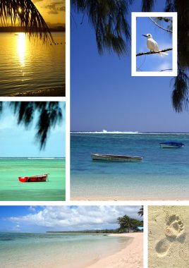 Tropical beach collage clipart