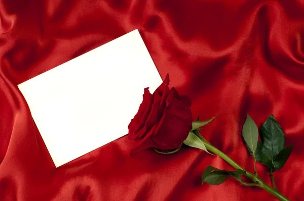 Tarjeta con una rosa —  Fotos de Stock