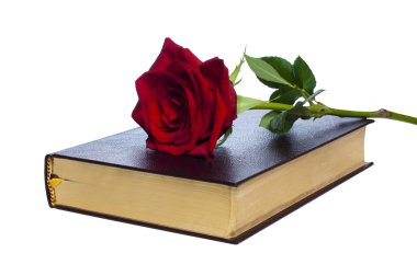 Isolated book with a red rose on it clipart