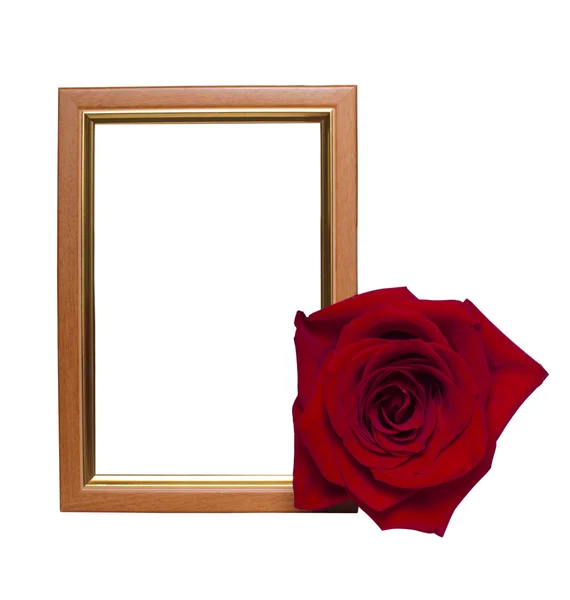 一朵玫瑰的帧 — 图库照片