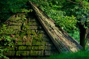 Moss on the roof clipart