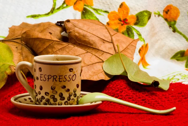 Espresso cups Royalty Free Stock Photos