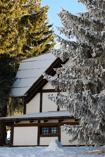 stock image Holiday home on the mountain