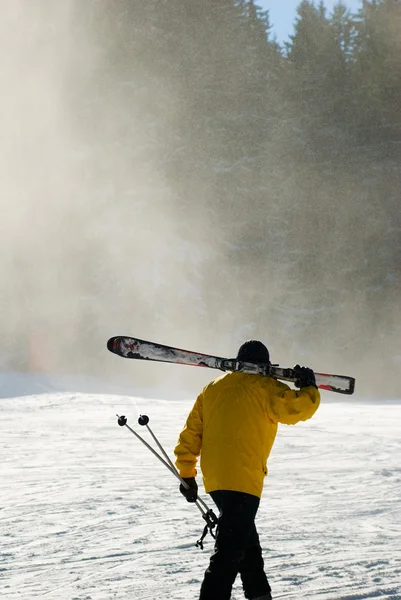 Skifahrer in Bewegung Stockfoto