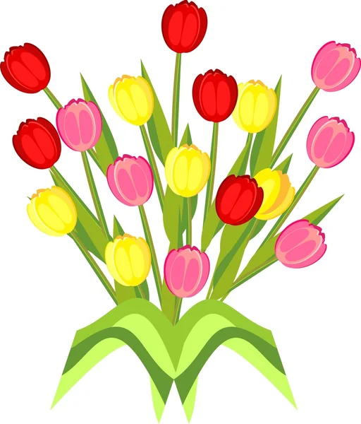 Cartão com tulipas — Vetor de Stock