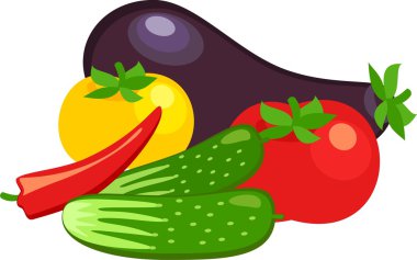 patlıcan, salatalık, biber ve domates