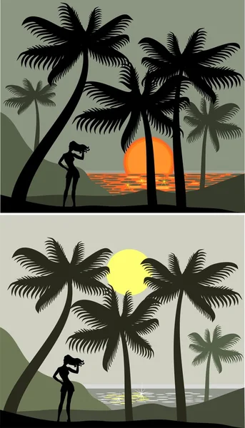 Solnedgång på en palm beach — Stock vektor