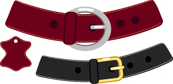 Leather belt — Stock Vector