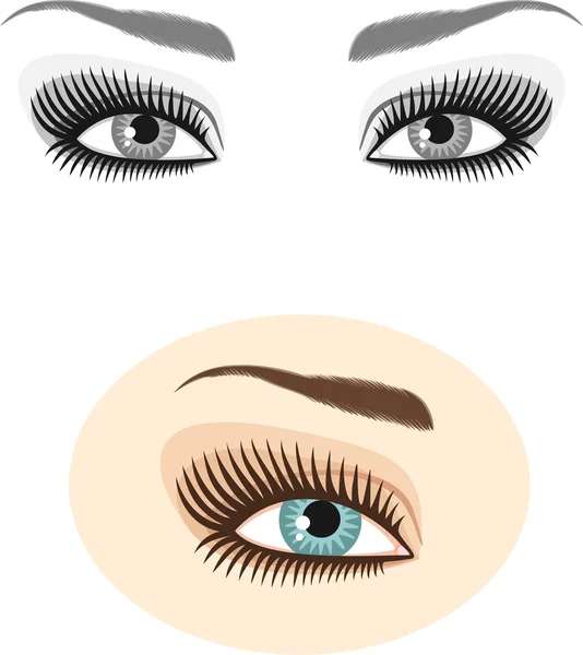 Eyes and eyebrows — Stock Vector