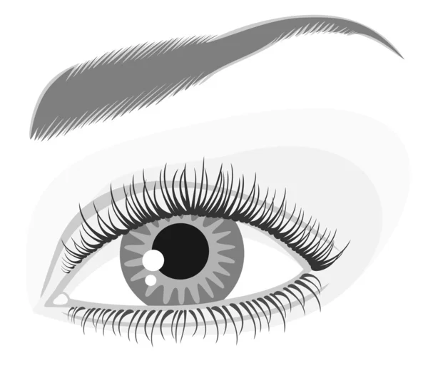 Ögon och ögonbryn — Stock vektor