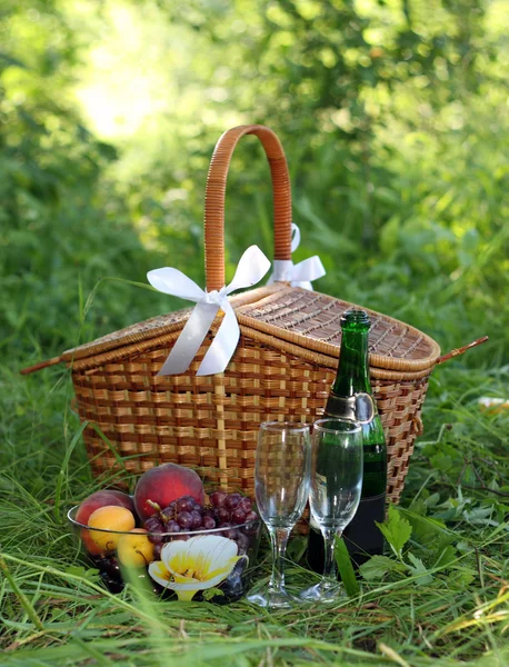 stock image Basket for picnic