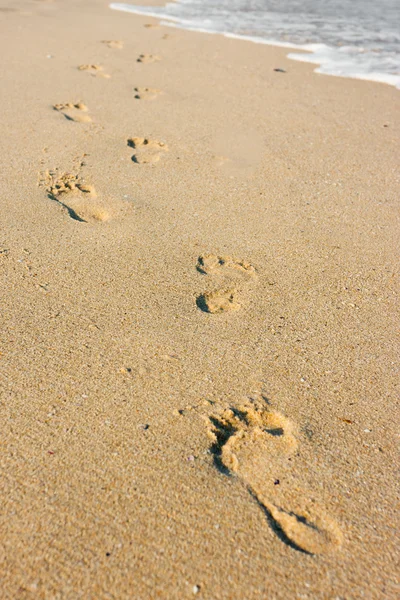Пляжная Прогулка Морскому Песчаному Пляжу — стоковое фото