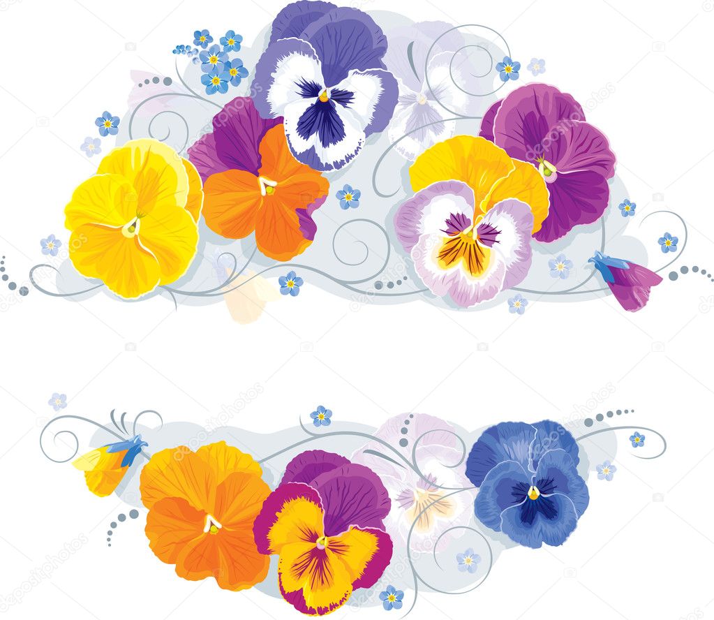 Pansies And Forget Me Not Stock Vector Image By C Lisashu