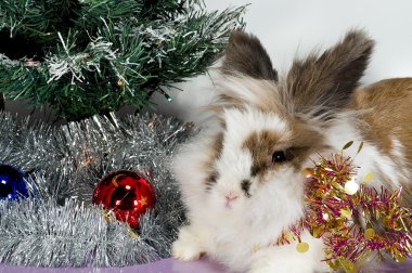 Rabbit under the Christmas tree clipart