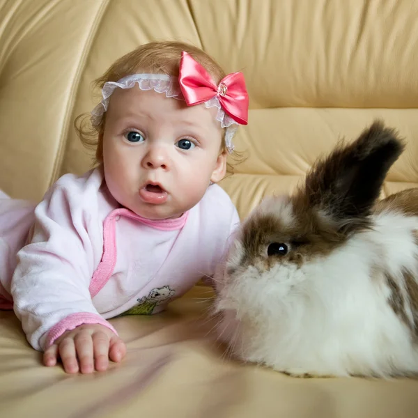 小孩和兔子 — 图库照片