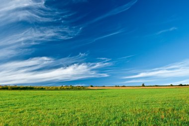 Green filed under blue skies clipart