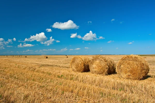 Three hay stacks — Stock Photo, Image