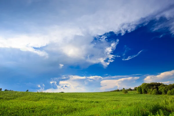 Yeşil çim mavi gökyüzü — Stok fotoğraf