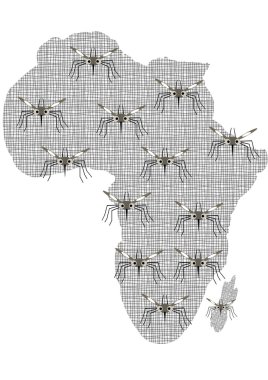 Afrika