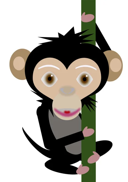 Apina Metsässä — kuvapankkivalokuva