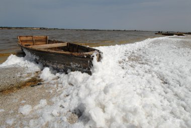 Tuz düzlükleri