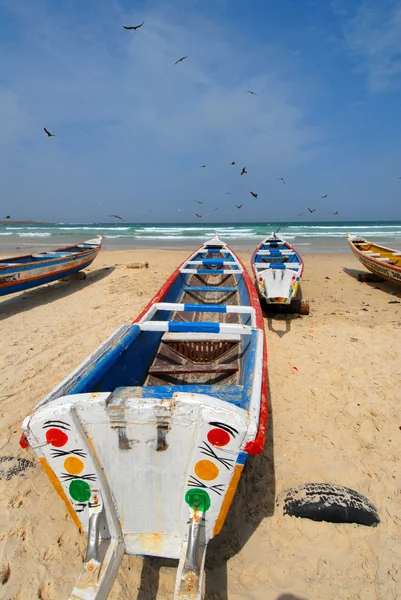 Typiska Båtar Senegal — Stockfoto