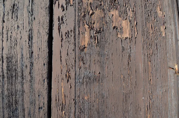 Detail Wooden Door — Stock Photo, Image