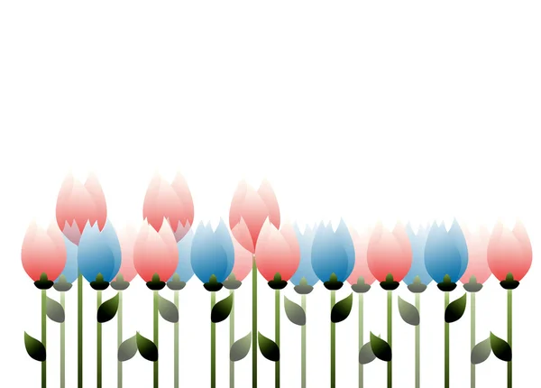 stock image Tulips