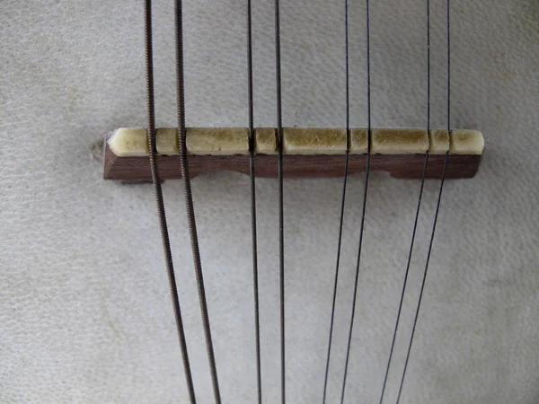Strings old banjo — Stock Photo, Image