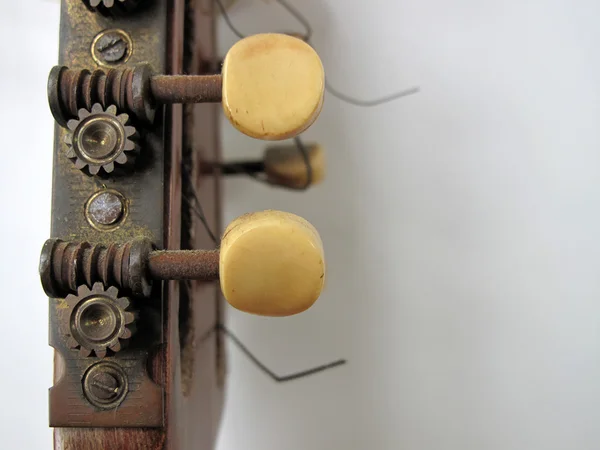 Mandoline banjo — Photo