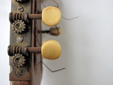 Banjo mandolin