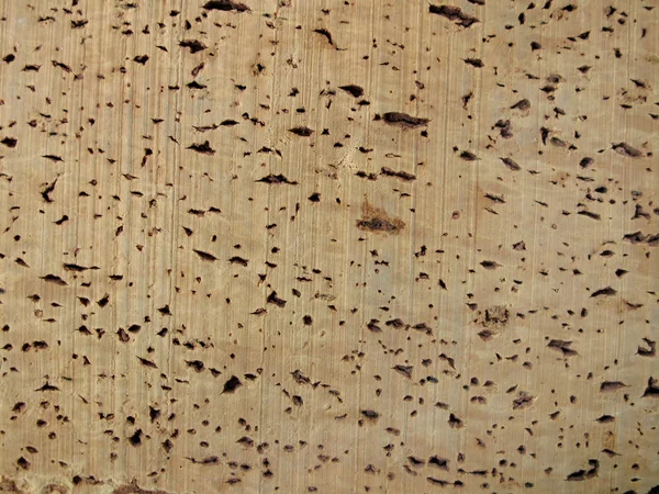 stock image Cork background