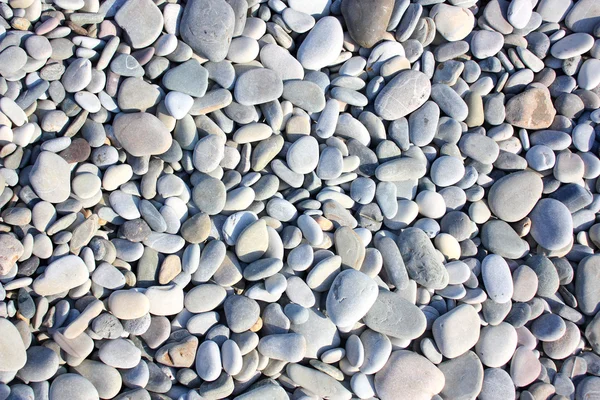 Stones Beach Summer Sunny Day — Stock Photo, Image