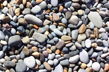 taşlar bir plajda