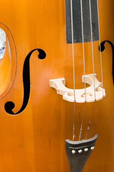 Eeuwenoude bass viol — Stockfoto