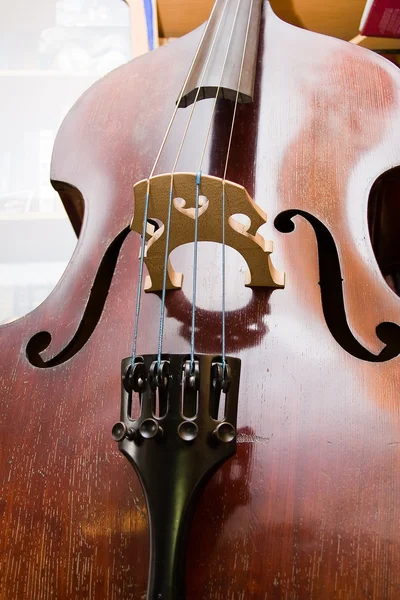 Age-old bass viol — Stock Photo, Image