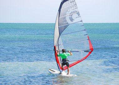 Florida Windsurfer clipart